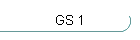 GS 1